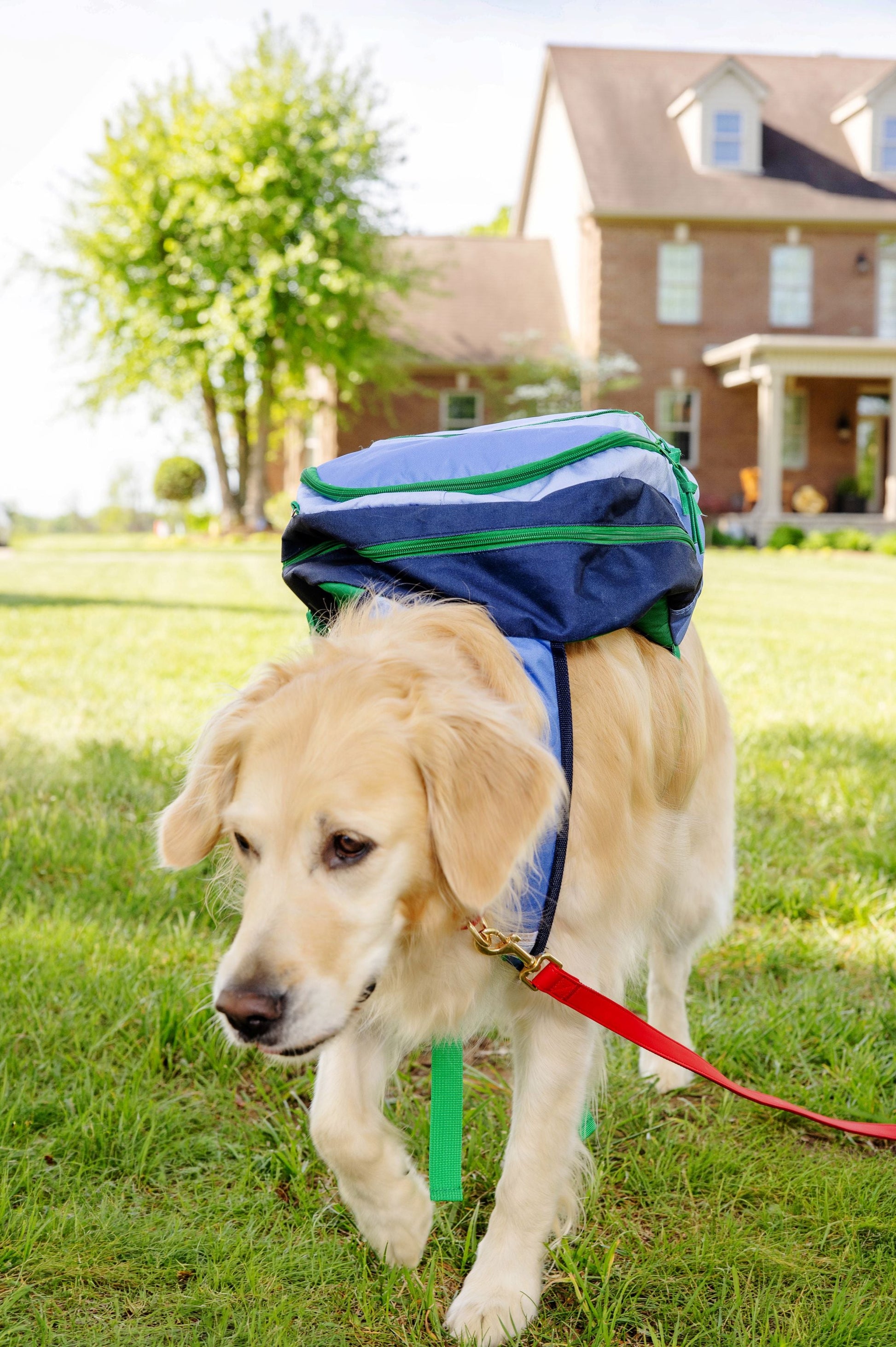 Beaufort Bonnet Don't Forget Your Backpack - Blue, Navy & Kiawah Kelly Green