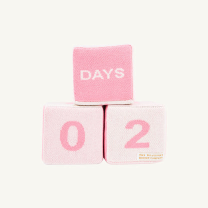 Beaufort Bonnet Blaylock Blocks - Hamptons Hot Pink, Palm Beach Pink & Palmetto Pearl