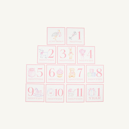 Beaufort Bonnet Sir Proper's Month Markers - Palm Beach Pink