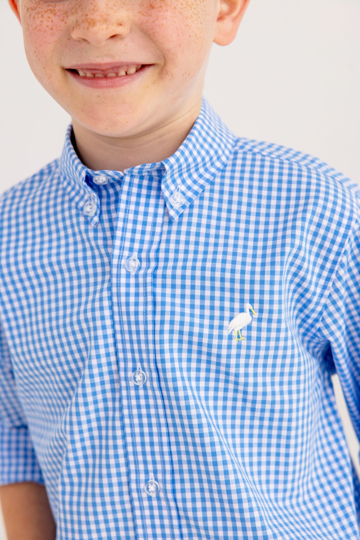 Beaufort Bonnet Dean's List Dress Shirt - Sunrise Blvd Blue Mini Gingham