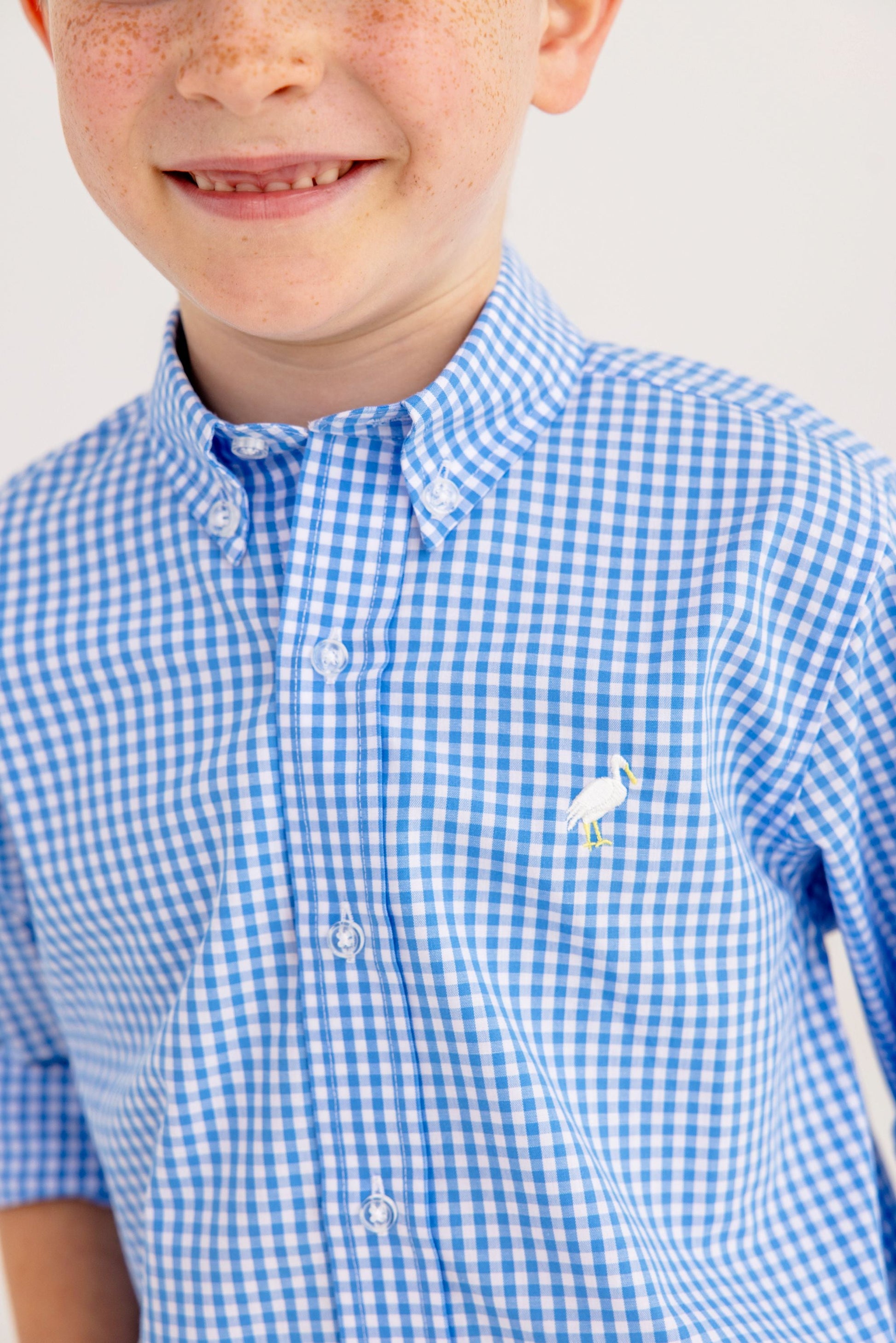 Beaufort Bonnet Dean's List Dress Shirt - Sunrise Blvd Blue Mini Gingham