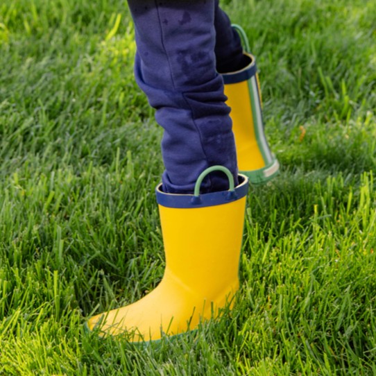 Beaufort Bonnet Buckets of Rain Boots - Yellow, Navy & Green